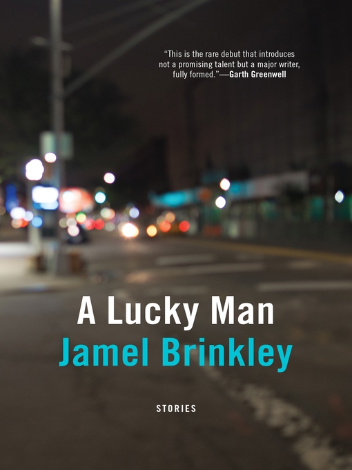 Title details for A Lucky Man by Jamel Brinkley - Wait list